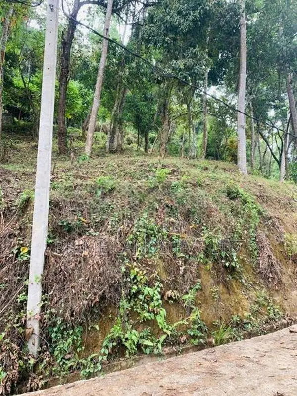 Land for Sale Nelundeniya