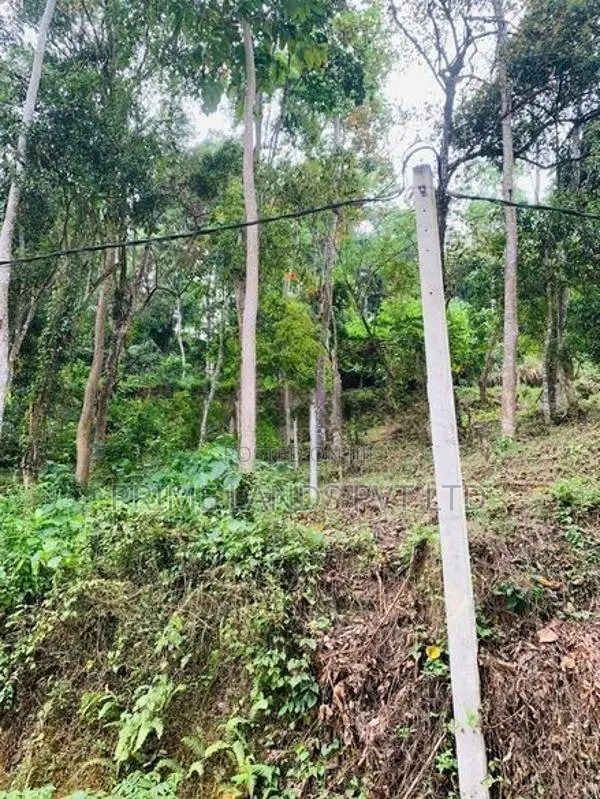Land for Sale Nelundeniya
