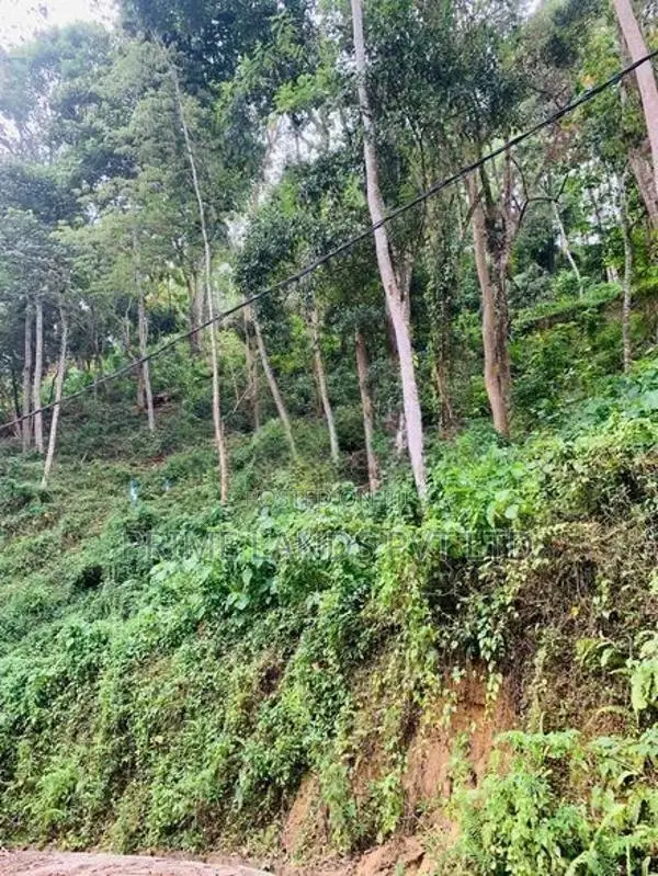 Land for Sale Nelundeniya