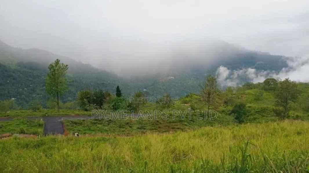 Land for Sale Pundaluoya