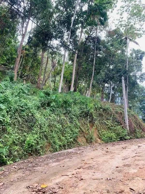 Land for Sale Nelundeniya
