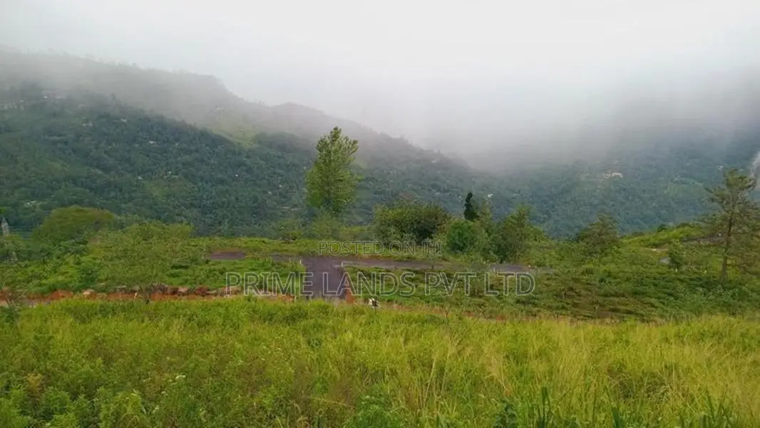 Land for Sale Pundaluoya