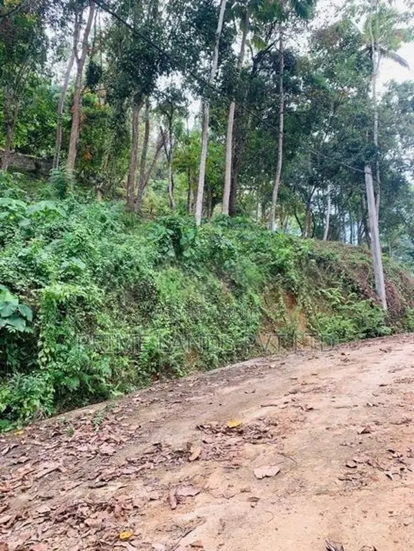 Land for Sale Nelundeniya