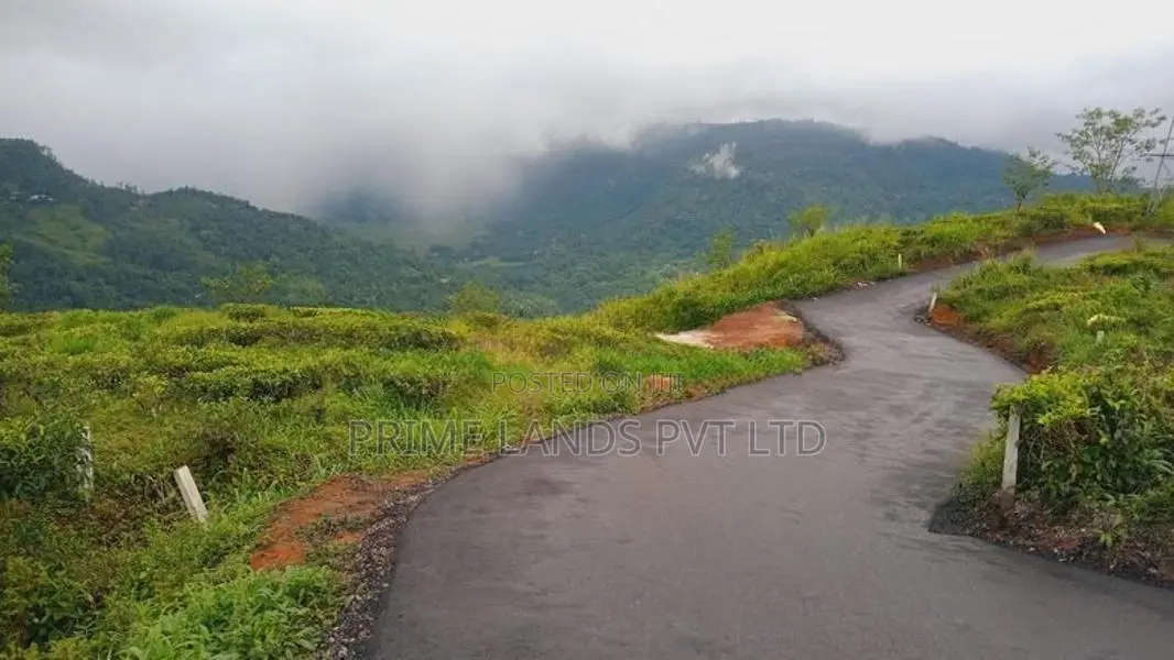 Land for Sale Pundaluoya