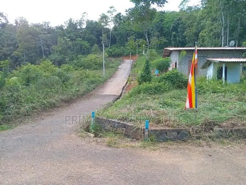 Land for Sale Nelundeniya