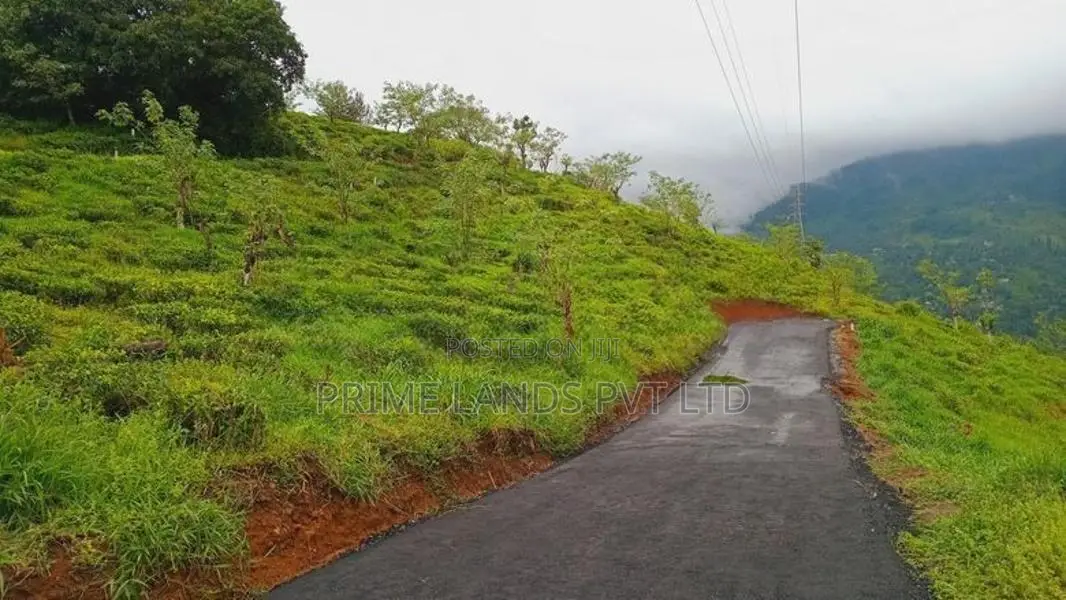 Land for Sale Pundaluoya