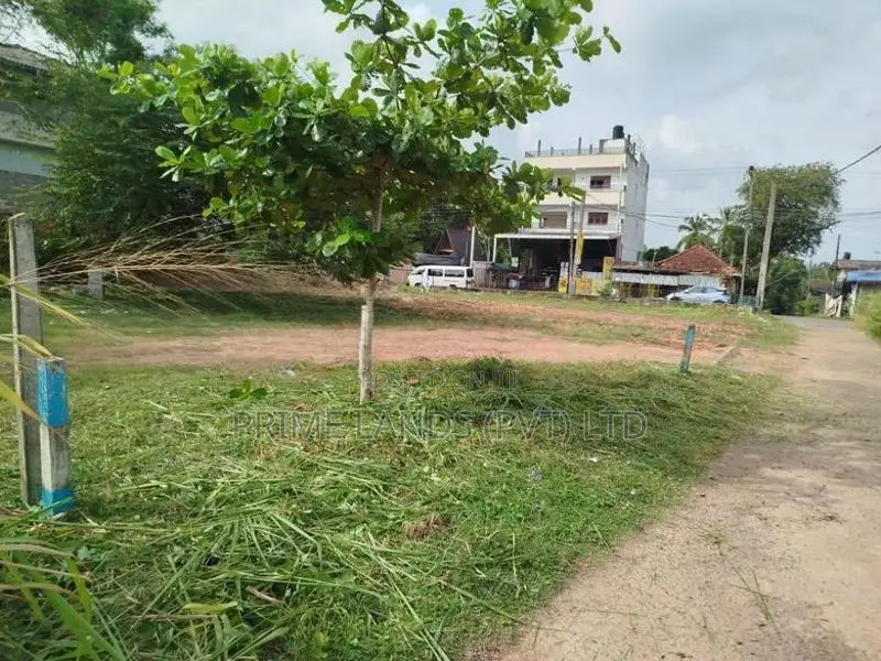 පිලියන්දල ,කහපොල බස් පාරට මුහුනලා බිම් කොටසක් විකිණීමට