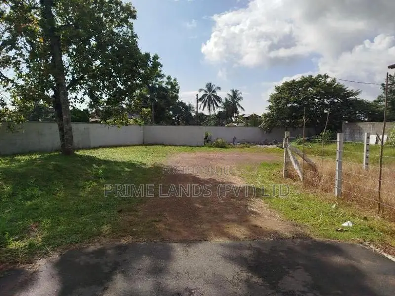 කොට්ටාව මාලඹේ බස් පාරට මුහුනලා බිම් කොටස් විකිණීමට