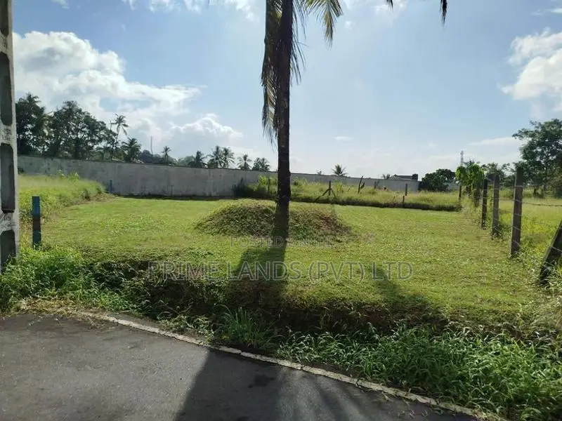 කොට්ටාව මාලඹේ බස් පාරට මුහුනලා බිම් කොටස් විකිණීමට