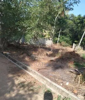 බුත්තල නගරයට ආසන්නයෙන් පදිංචියට ඉඩමක්