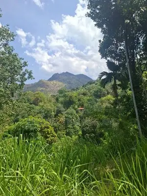 Land For Sale In Ella - CL836