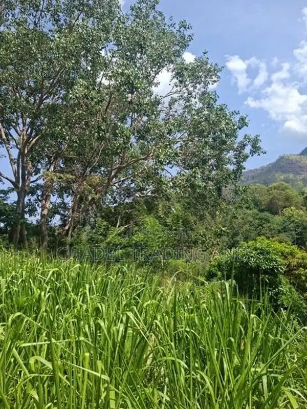 Land For Sale In Ella - CL836