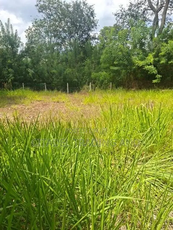 Land For Sale In Ella - CL836