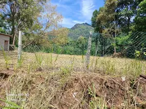 Land For Sale In Ella - CL836