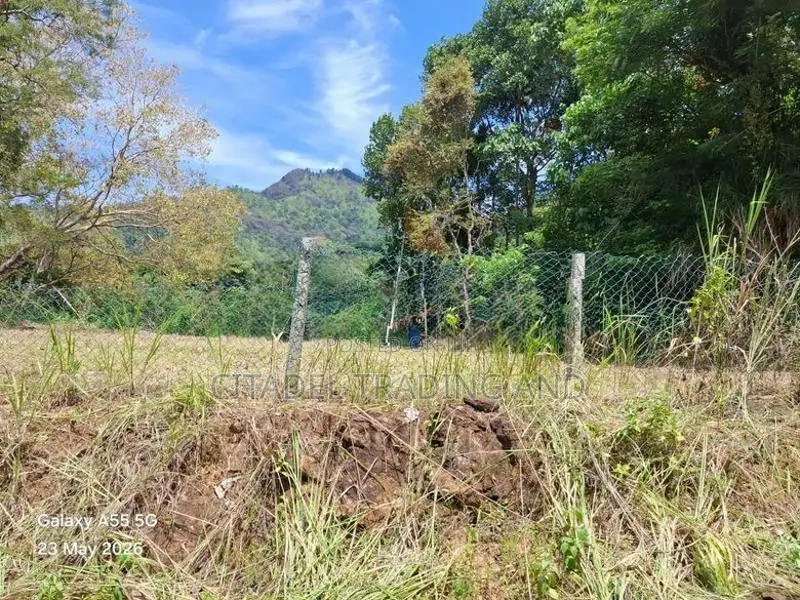 Land For Sale In Ella - CL836