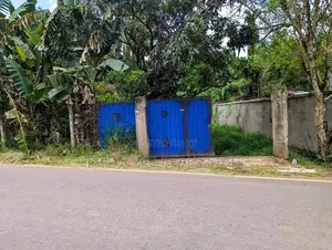 Mirigama ප්‍රධාන පාරට මුහුණලා වටිනා වාණිජ ඉඩමක් / DU 13174