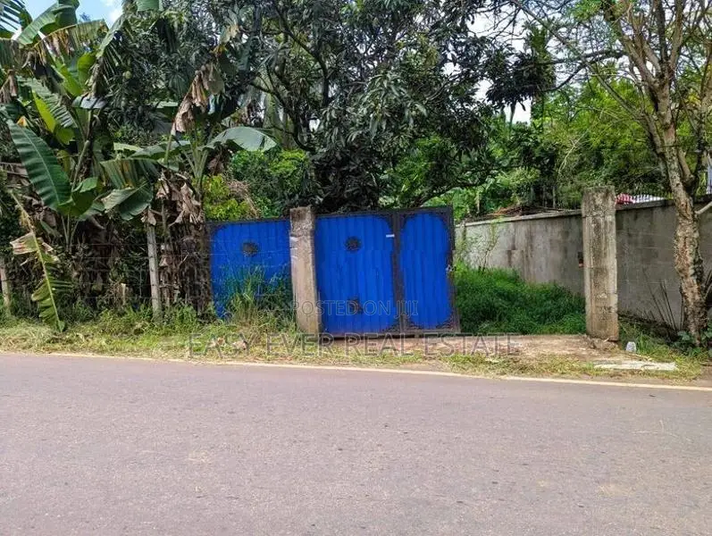 Mirigama ප්‍රධාන පාරට මුහුණලා වටිනා වාණිජ ඉඩමක් / DU 13174