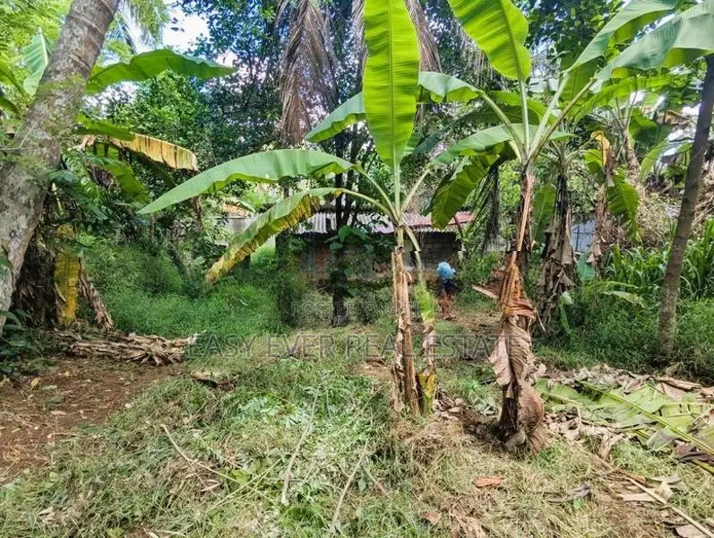 Mirigama ප්‍රධාන පාරට මුහුණලා වටිනා වාණිජ ඉඩමක් / DU 13174