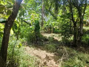 Mirigama ප්‍රධාන පාරට මුහුණලා වටිනා වාණිජ ඉඩමක් / DU 13174