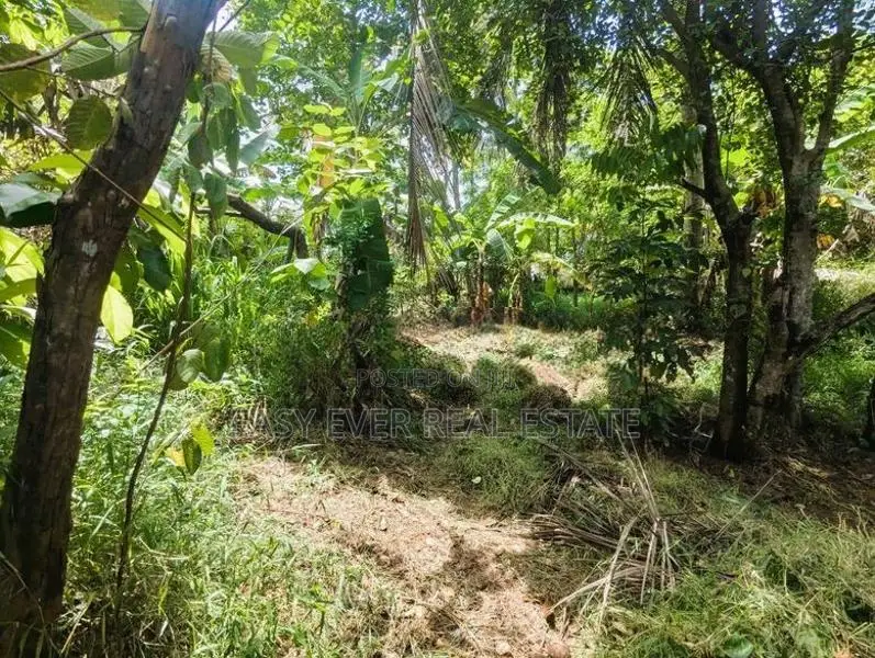 Mirigama ප්‍රධාන පාරට මුහුණලා වටිනා වාණිජ ඉඩමක් / DU 13174