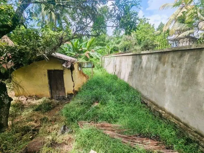 Mirigama ප්‍රධාන පාරට මුහුණලා වටිනා වාණිජ ඉඩමක් / DU 13174