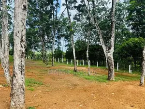Land for sale Ballapitiya walpita rd
