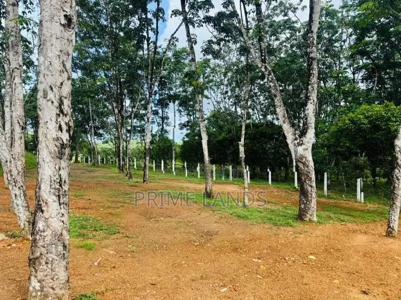 Land for sale Ballapitiya walpita rd