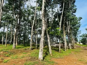Land for sale Ballapitiya walpita rd