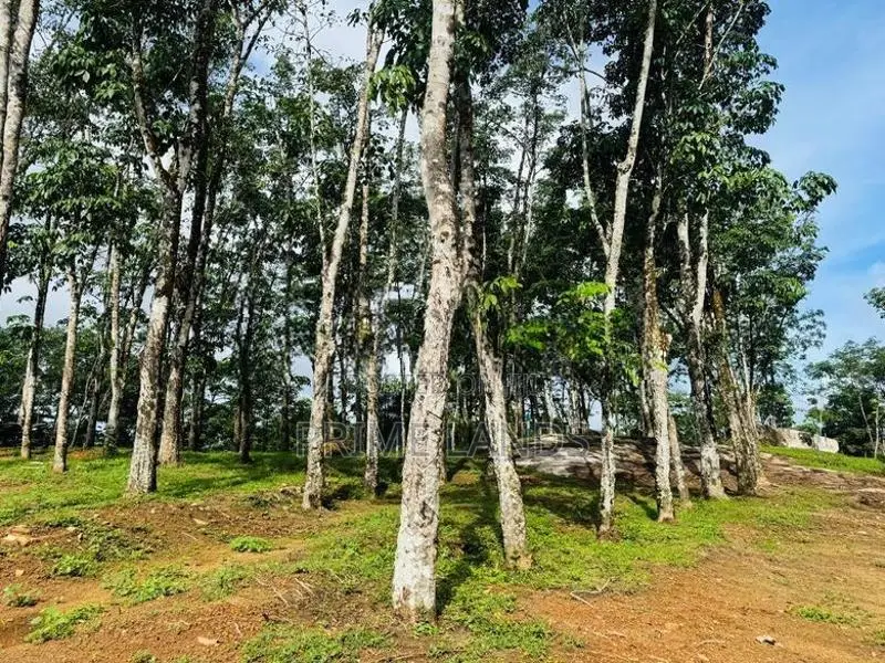 Land for sale Ballapitiya walpita rd