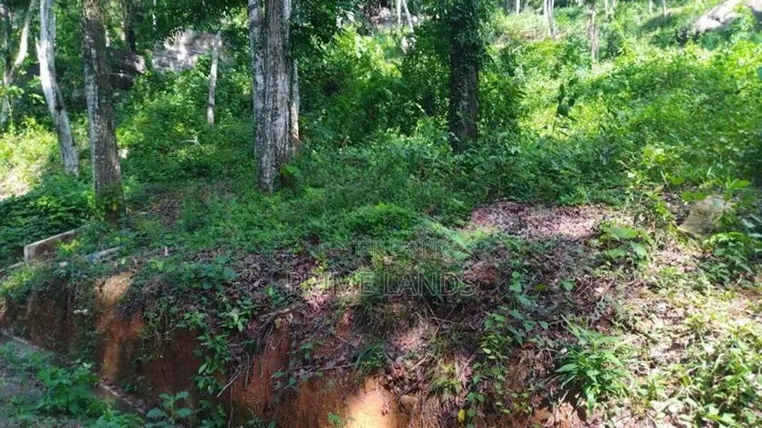 Land for Sale in Nelumdeniya