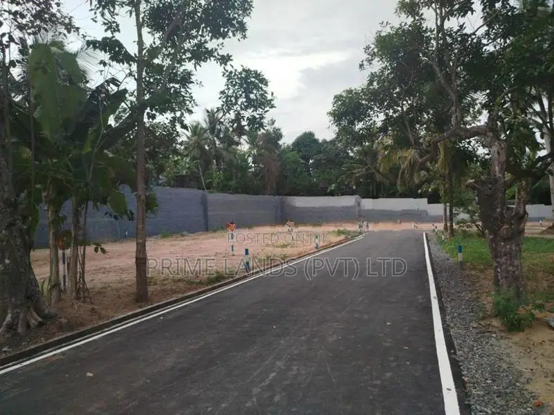 බොකුන්දර මකුළුදූව පාරෙන් බිම් කොටසක් විකිණීමට