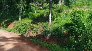 Land for Sale in Nelumdeniya
