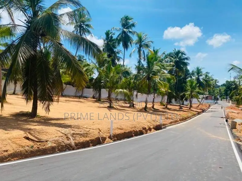 කදාන , රිලවුල්ල දොලහේන පාරෙන් බිම් කොටස්