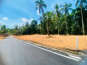 කදාන , රිලවුල්ල දොලහේන පාරෙන් බිම් කොටස්
