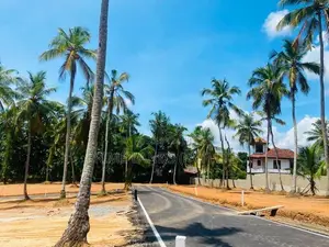 කදාන , රිලවුල්ල දොලහේන පාරෙන් බිම් කොටස්