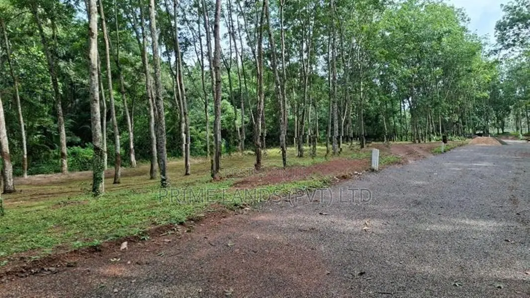 දිවුලපිටිය වල්පිට Land for Sale