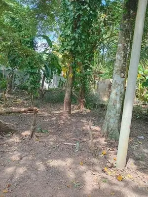 වටිනා ඉඩමක් පොල්පිතිමුකලාන , කොස්පෑලෑනෙන්