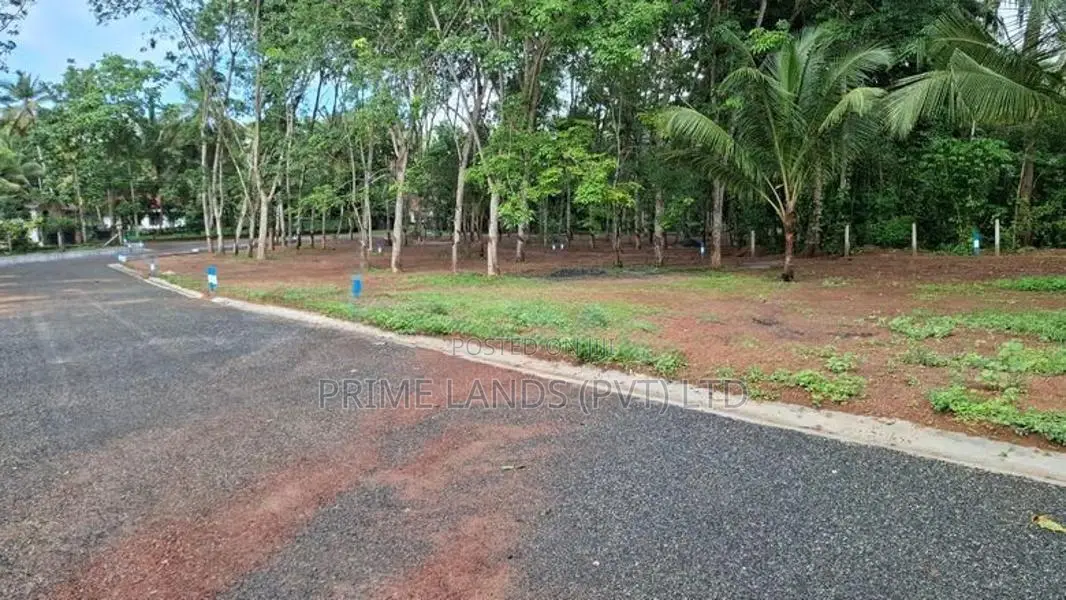 දිවුලපිටිය වල්පිට Land for Sale