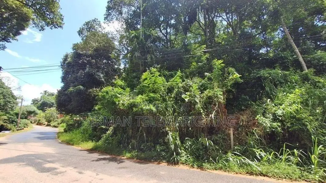 Prime Land for Sale – Peradeniya
