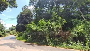 Prime Land for Sale – Peradeniya