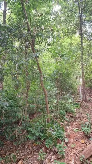 Prime Land for Sale – Peradeniya