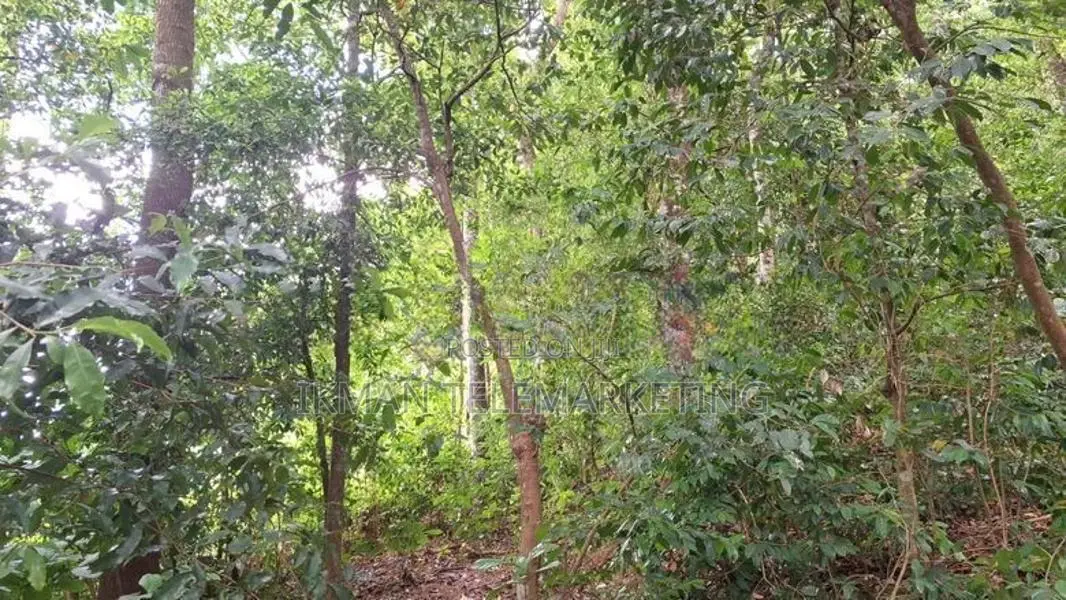 Prime Land for Sale – Peradeniya