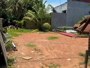 බොරලැස්ගමුව ඉඩමක් විකිනීමට