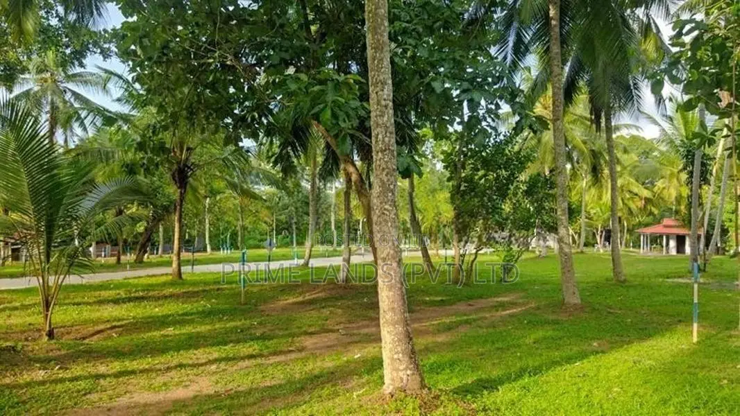 මිනුවන්ගොඩ දෙවොලපල සුපිරි" බිම්කොටස්