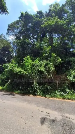 Prime Land for Sale – Peradeniya
