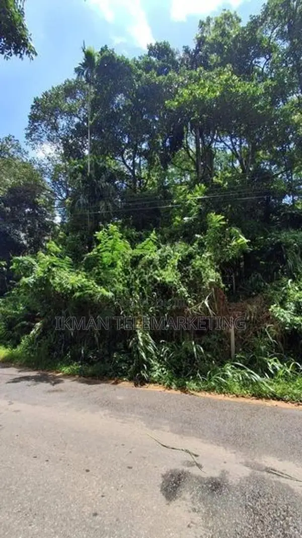 Prime Land for Sale – Peradeniya