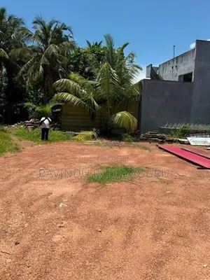 බොරලැස්ගමුව ඉඩමක් විකිනීමට