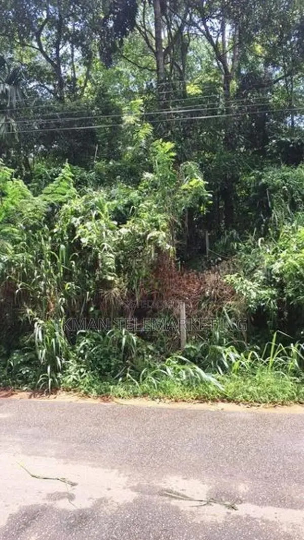 Prime Land for Sale – Peradeniya