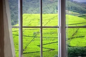 Charming 4-Bedroom Villa in Nuwara Eliya For Sale