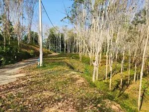 Land Plots in Habaraduwa Tourism Area